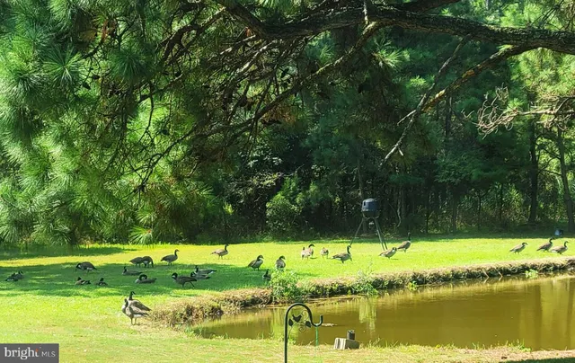 a view of swimming pool with a yard