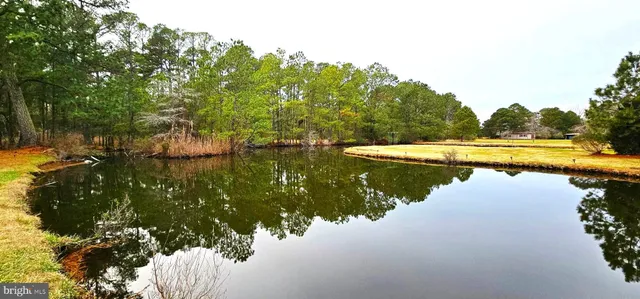 a view of a lake with houses in back