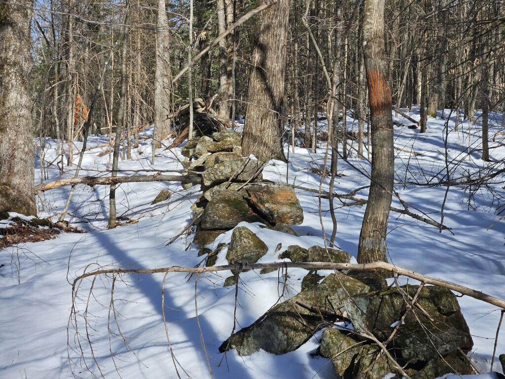 262 Mitchell Brook Road Temple, ME 04984 - Photo 57 of 65 Rock wall and boundary line