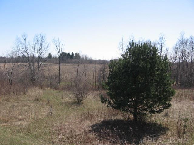 Vl Townsend Applegate, MI 48401 - Photo 3 of 31