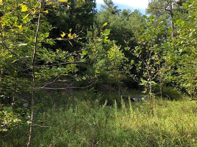940 Beech Fork Road Clay City, KY 40312 - Photo 2 of 18 Photo 2