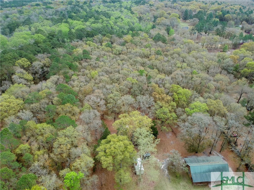 90 Pine Ridge Trail Ellabell, GA 31308 - Photo 9 of 44 Gallery Image 9