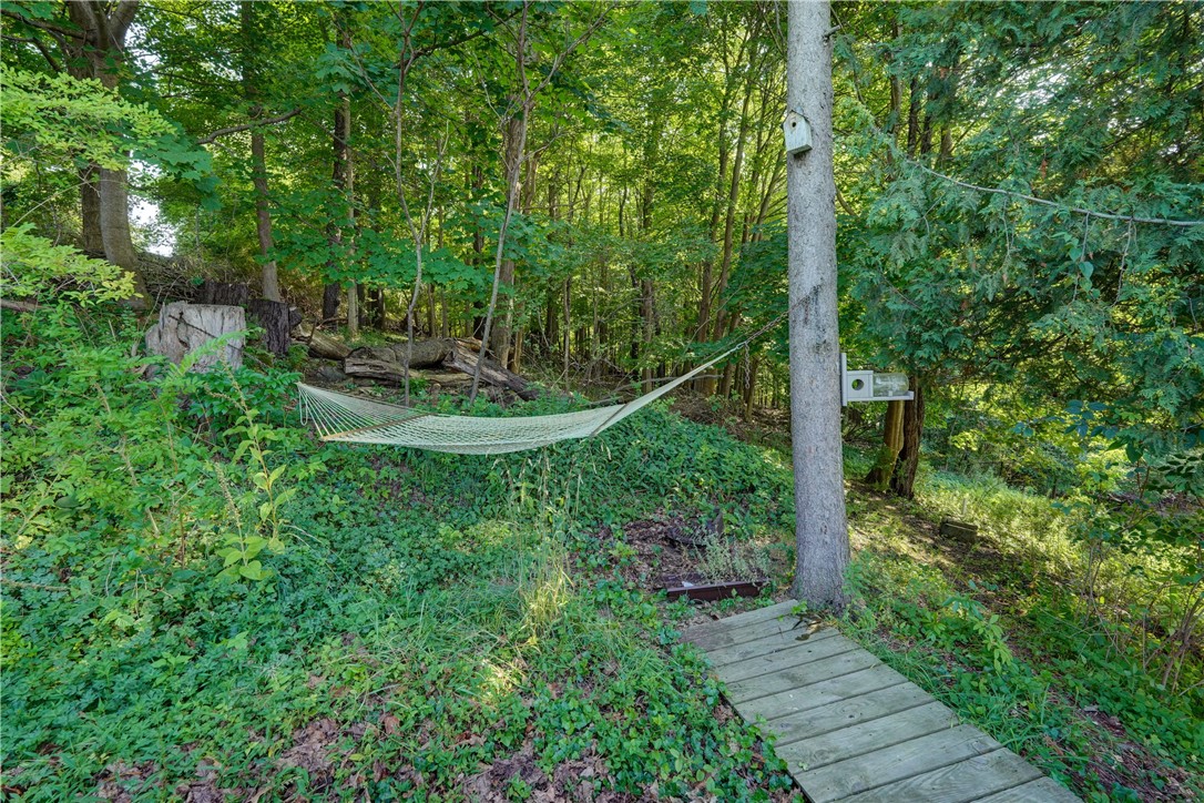 8258 South Shore Road Sodus, NY 14555 - Photo 34 of 36