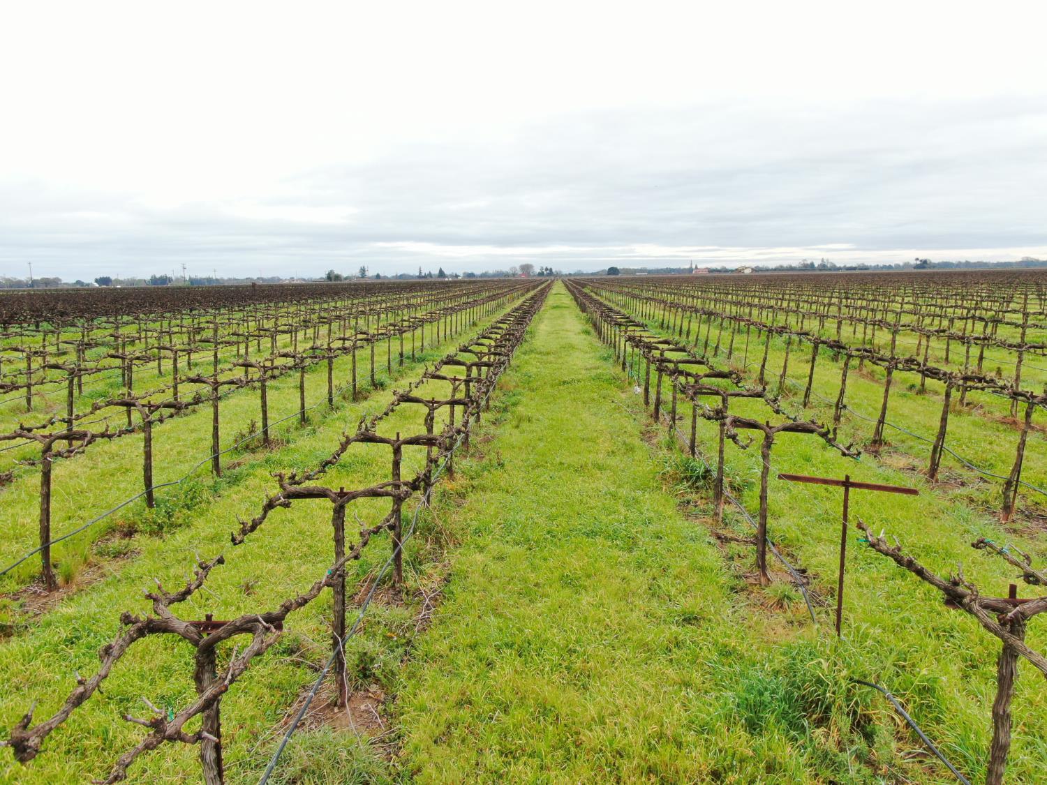 21610 Devries Road Lodi, CA 95242 - Photo 11 of 11 a view of an ocean