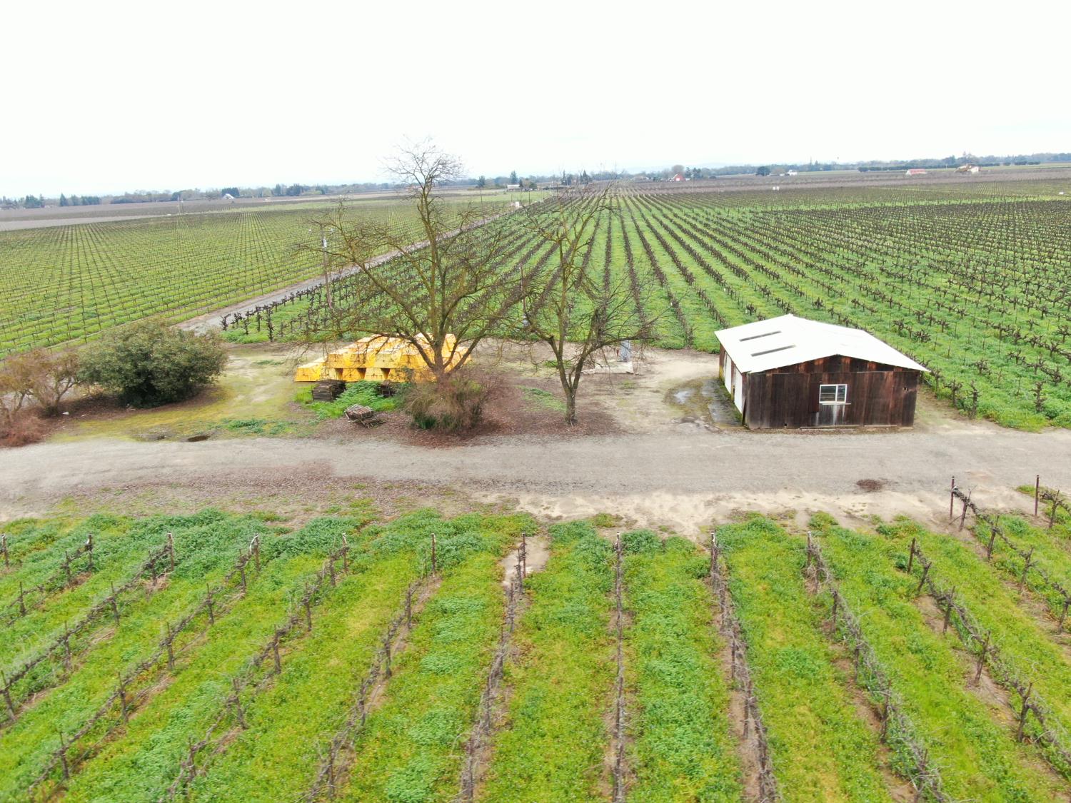 21610 Devries Road Lodi, CA 95242 - Photo 7 of 11 a view of a lake with a yard