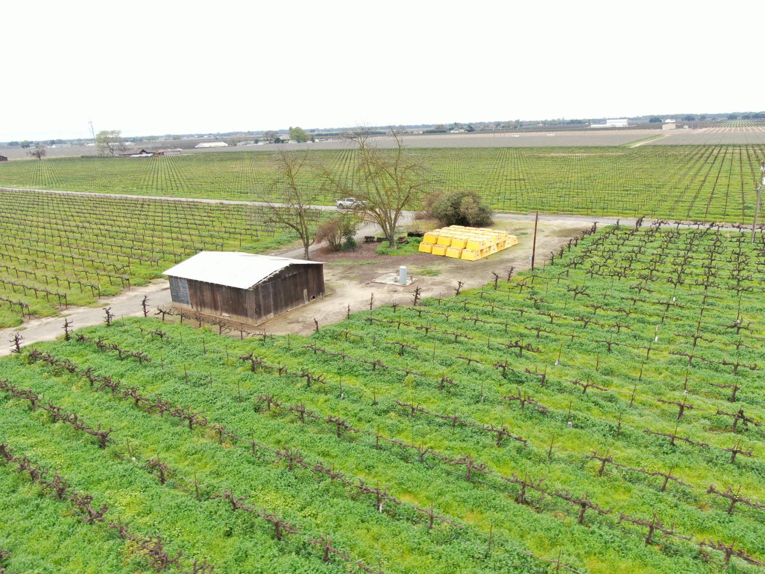 21610 Devries Road Lodi, CA 95242 - Photo 8 of 11 a view of a lake with a ocean view