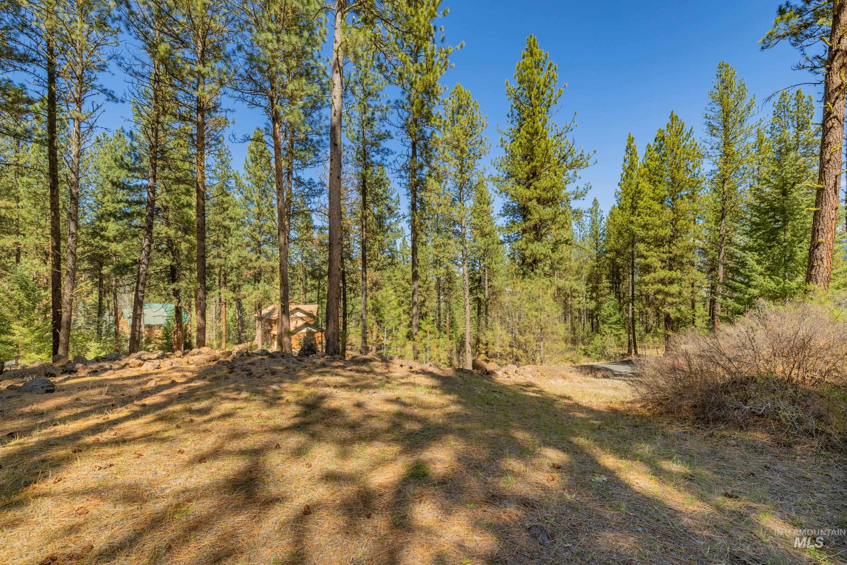 Lot 27 Hot Springs Road New Meadows, ID 83654 - Photo 5 of 23