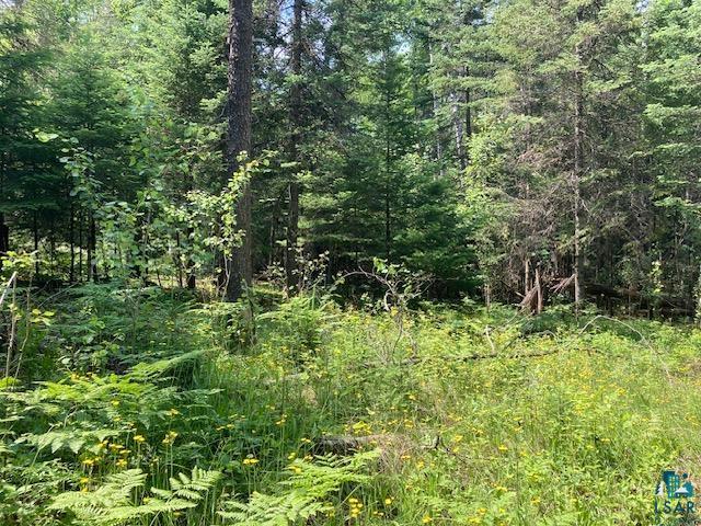 11919 Luna Lake Road Side Lake, MN 55781 - Photo 10 of 23