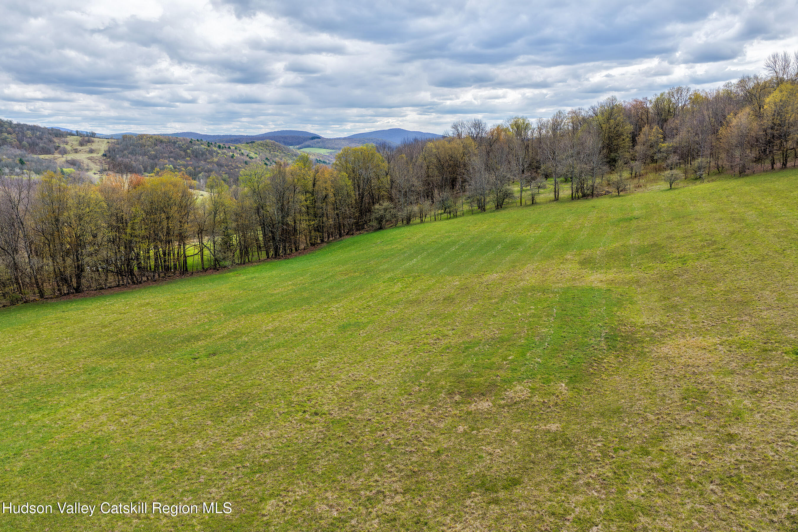 0 Brownell Road Bloomville, NY 13739 - Photo 36 of 39 23 acres Brownell Rd -- 034