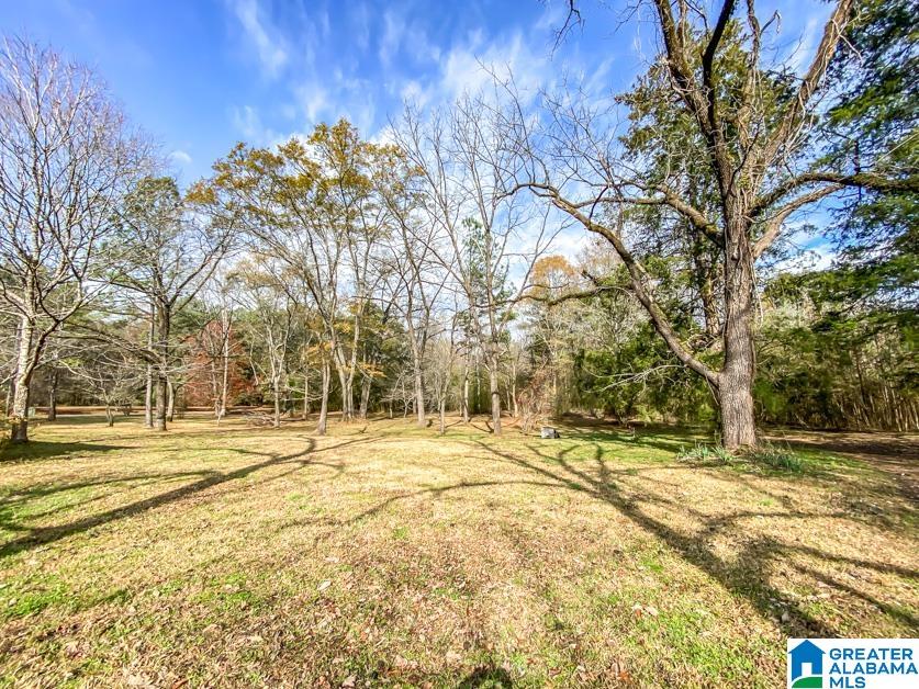 2743 Hillard Loop Townley, AL 35587 - Photo 35 of 36