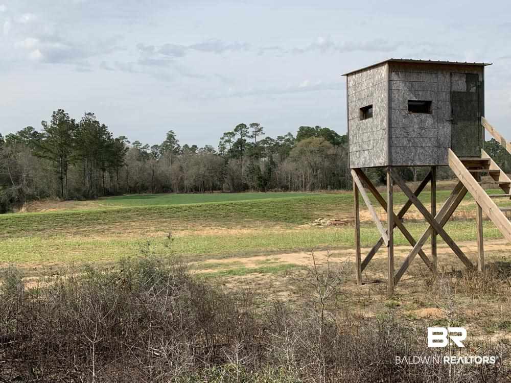 17525 Joe Gottler Road Elberta, AL 36530 - Photo 36 of 44