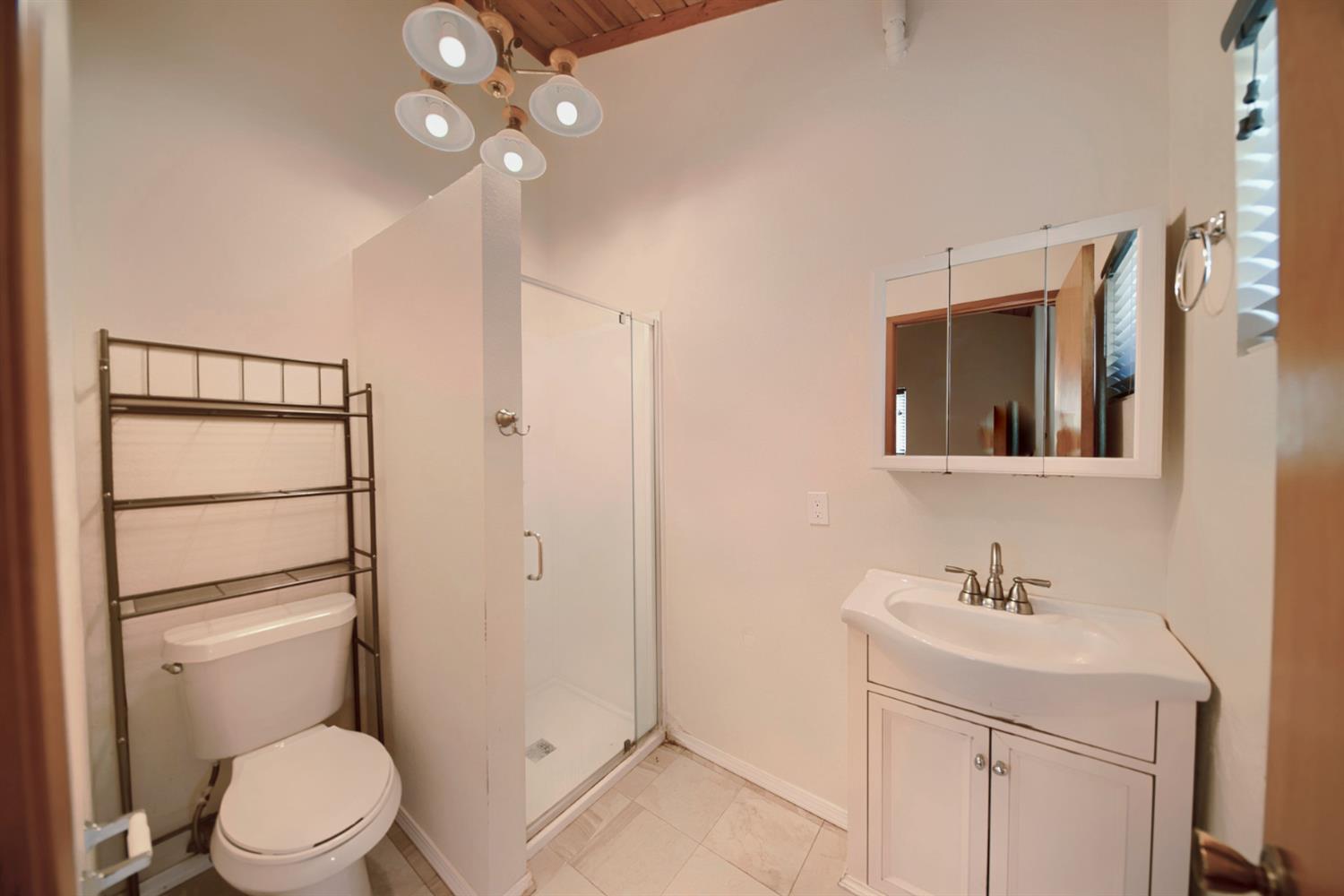30000 Kasson Road Tracy, CA 95304 - Photo 56 of 71 a bathroom with a toilet a sink and a mirror