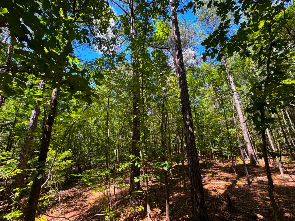 401 Coleman Road Clinton, SC 29325 - Photo 22 of 25