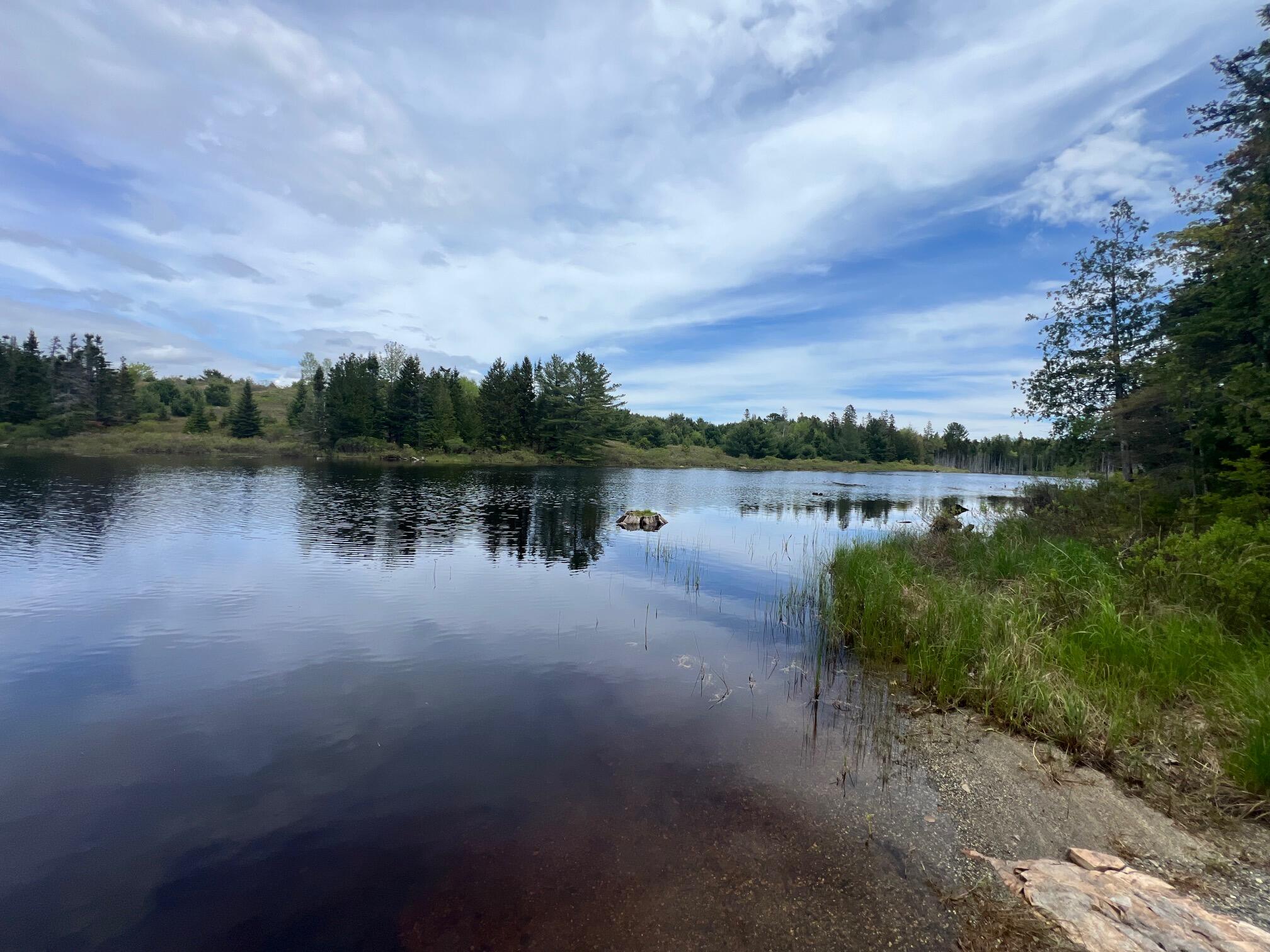 35 Emerson Preble Road Sullivan, ME 04664 - Photo 5 of 33 IMG_2939