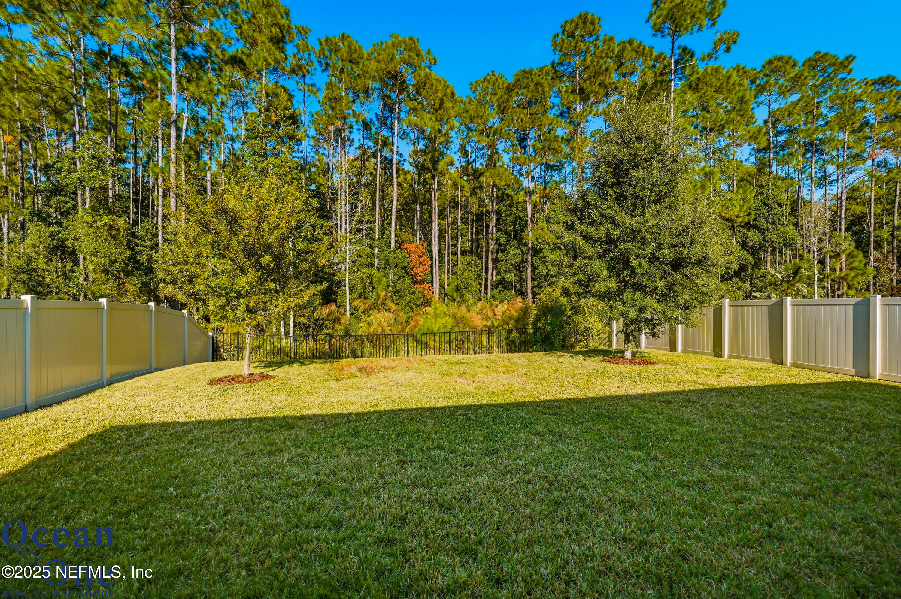 295 Convex Lane St. Augustine, FL 32095 - Photo 29 of 48 295 Convex Lane