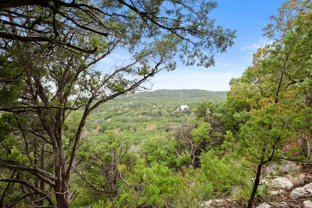 a view of a yard with a tree