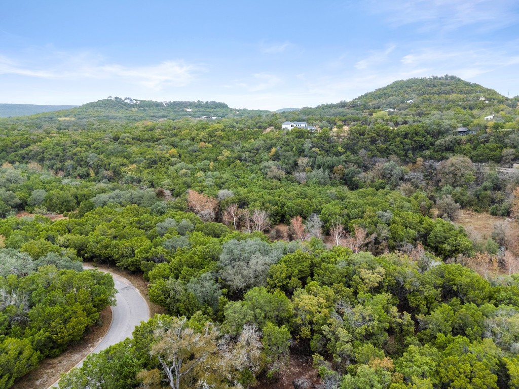 18211 Gregg Bluff Road Jonestown, TX 78645 - Photo 20 of 24 Bird's eye view of a mountainous background