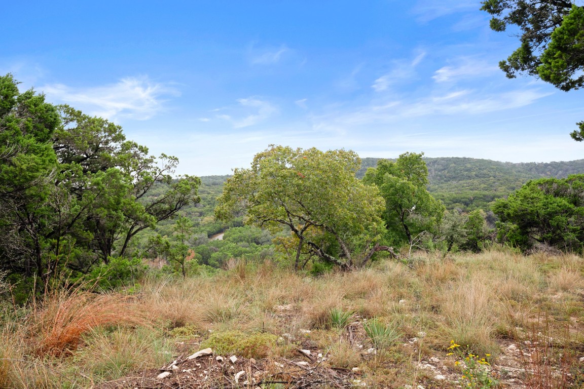 18211 Gregg Bluff Road Jonestown, TX 78645 - Photo 2 of 24 View of wooded area