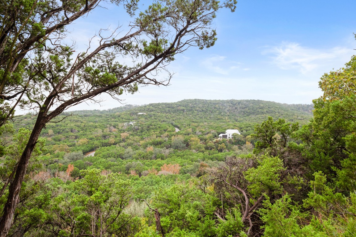 18211 Gregg Bluff Road Jonestown, TX 78645 - Photo 8 of 24 Mountain view featuring a forest