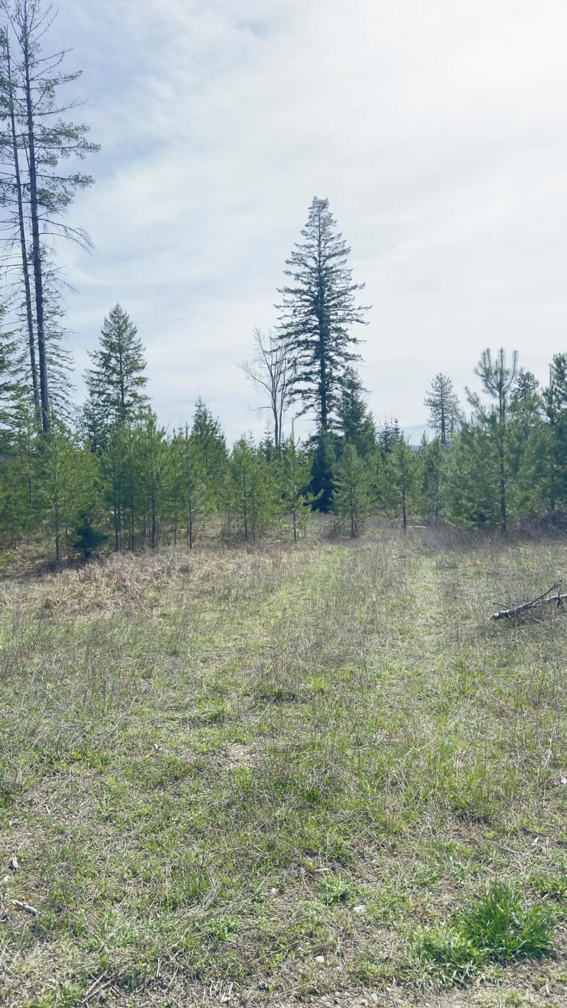 Nkn Nkn Evergreen Road Cusick, WA 99119 - Photo 13 of 14 Gallery Image 13