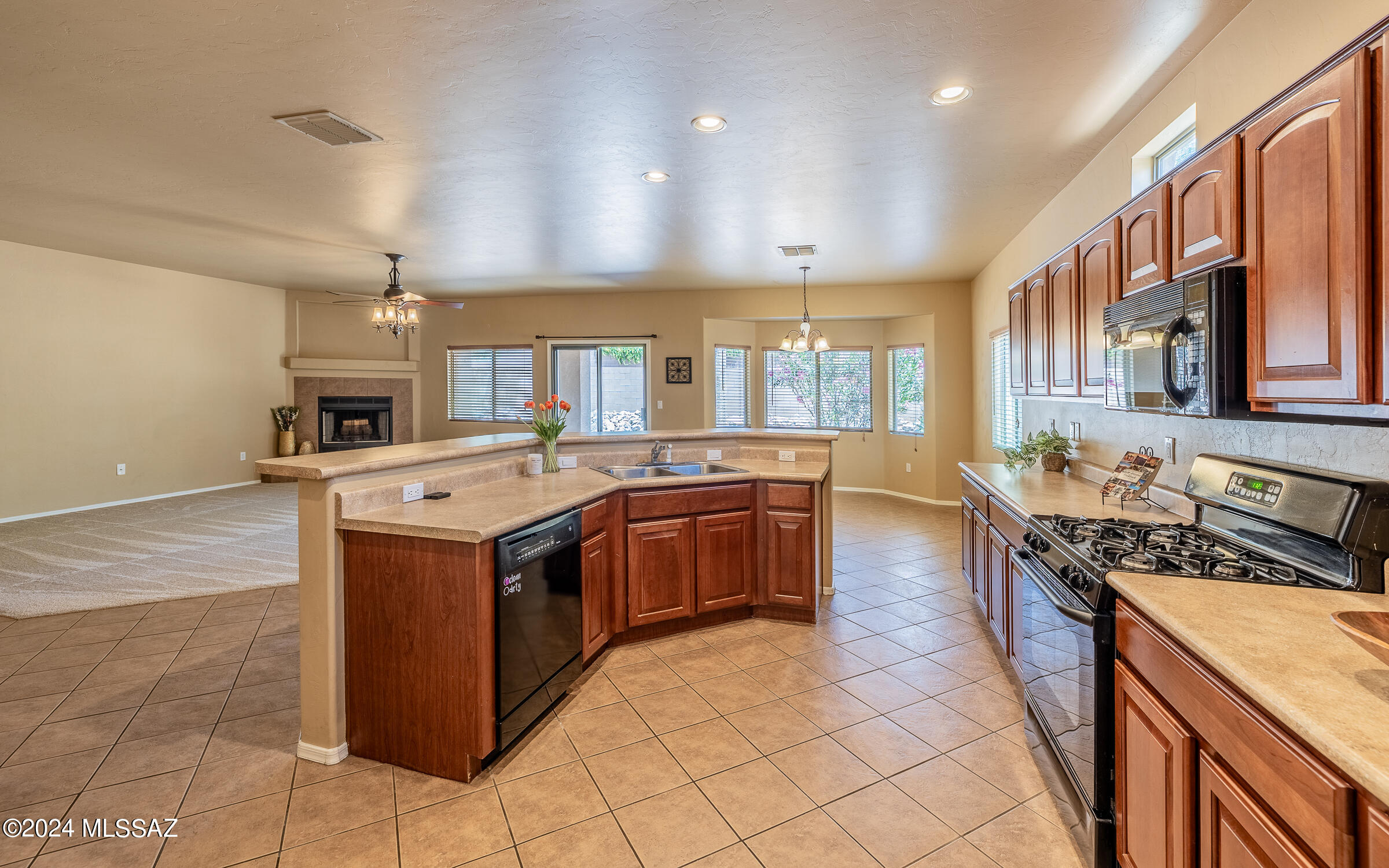 3629 East Fjord Pony Road Tucson, AZ 85739 - Photo 5 of 36