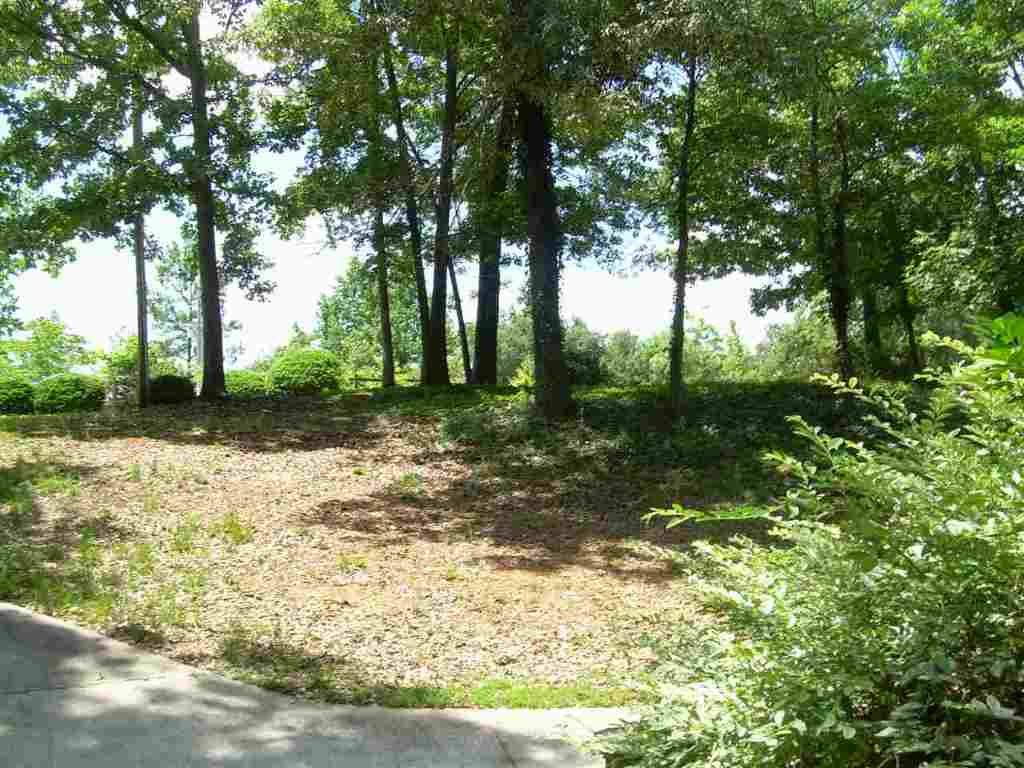 121 Fennell Road Townville, SC 29689 - Photo 11 of 12 Gallery Image 11