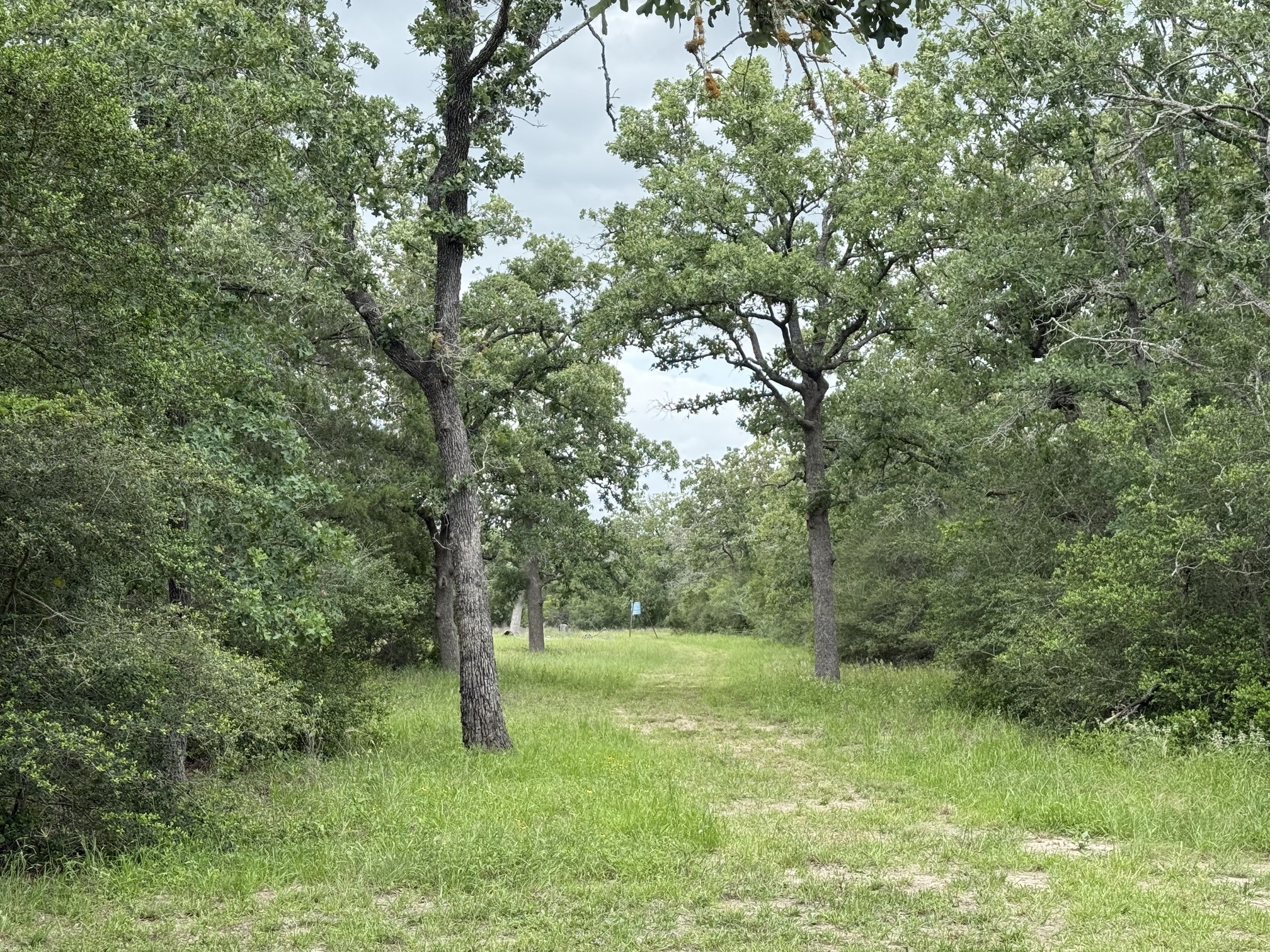 6811 Mockingbird Road Flatonia, TX 78941 - Photo 29 of 32