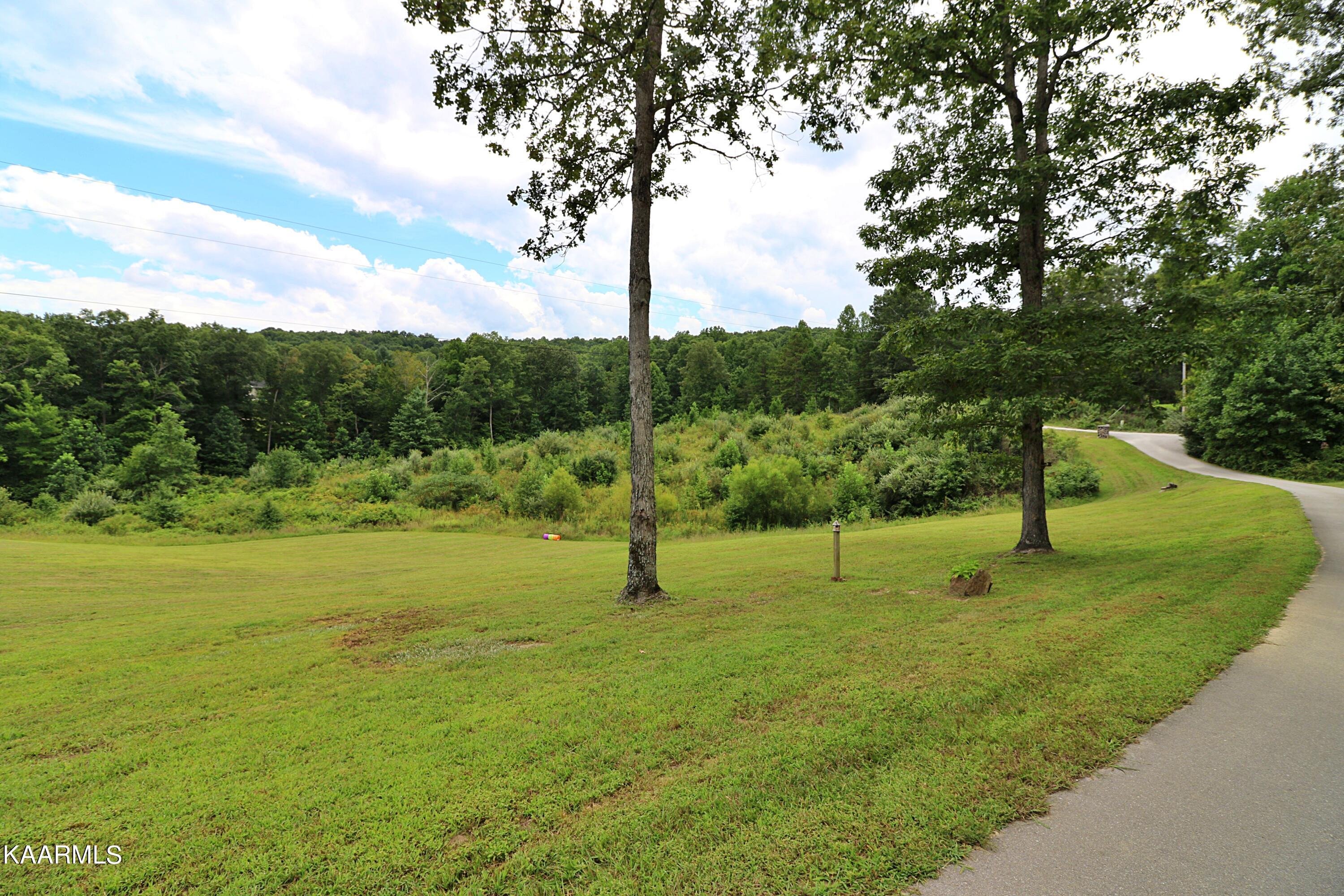 1767 Helenwood Loop Road Helenwood, TN 37755 - Photo 4 of 53 094A0540