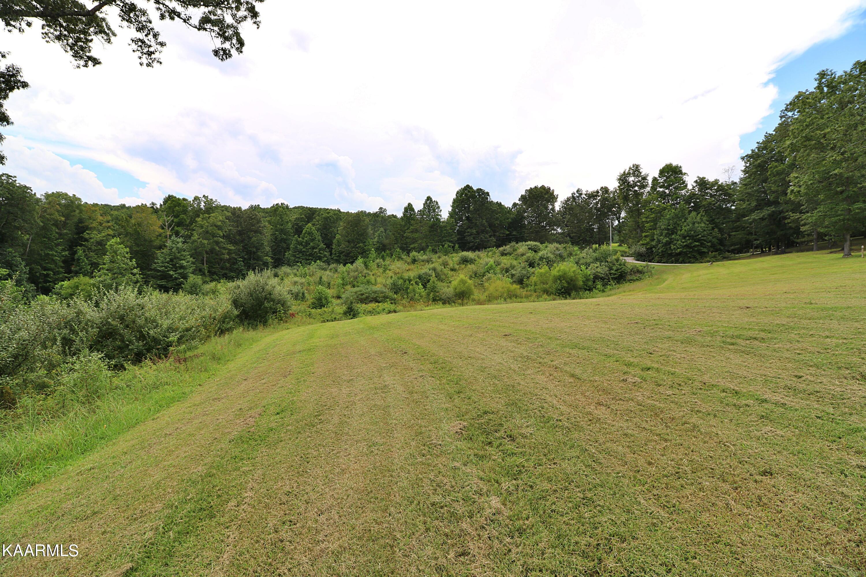 1767 Helenwood Loop Road Helenwood, TN 37755 - Photo 45 of 53 094A0548