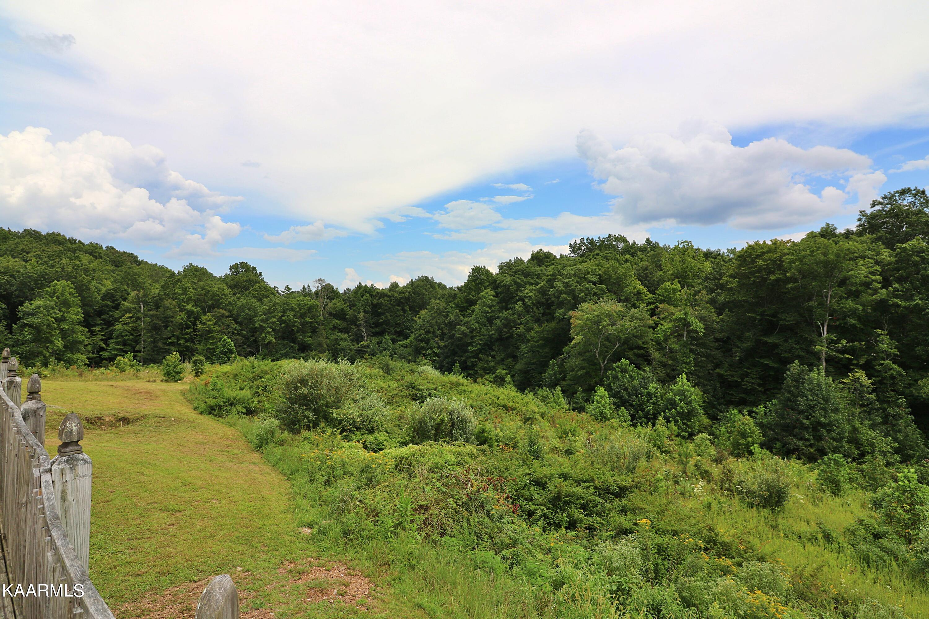 1767 Helenwood Loop Road Helenwood, TN 37755 - Photo 46 of 53 094A0559