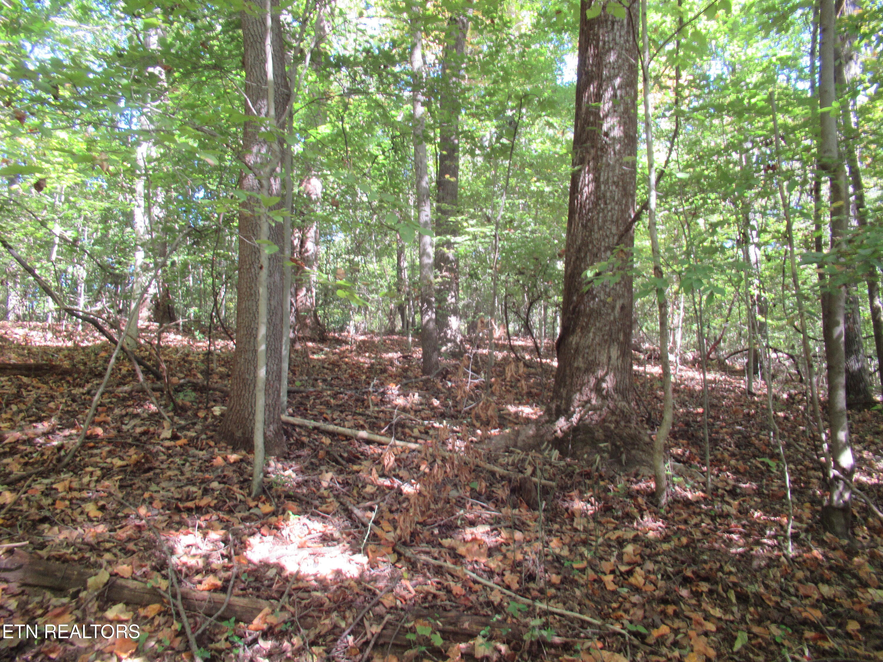 0 Riverside Drive Knoxville, TN 37914 - Photo 2 of 7 IMG_4065