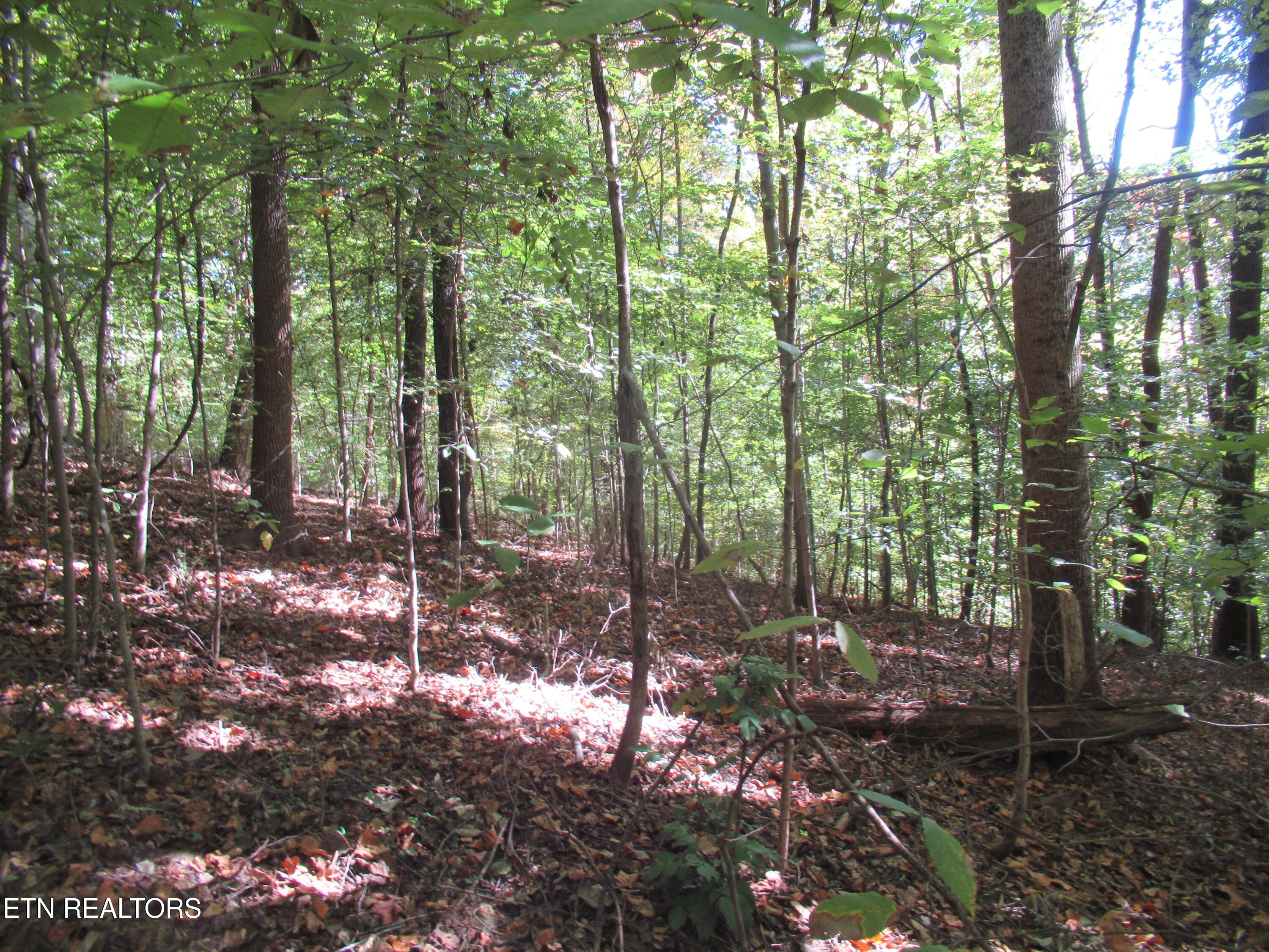 0 Riverside Drive Knoxville, TN 37914 - Photo 3 of 7 IMG_4064