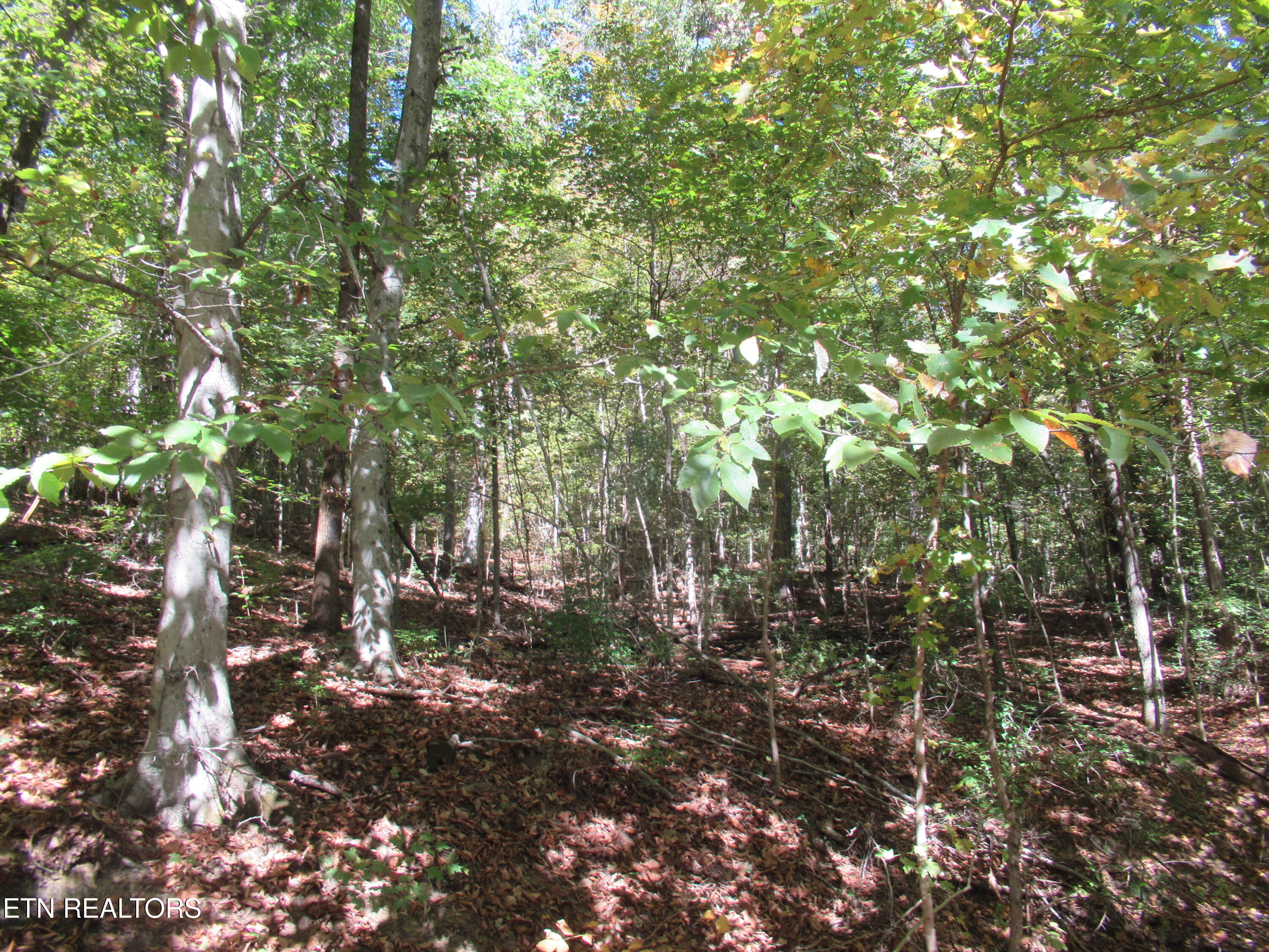 0 Riverside Drive Knoxville, TN 37914 - Photo 4 of 7 IMG_4063