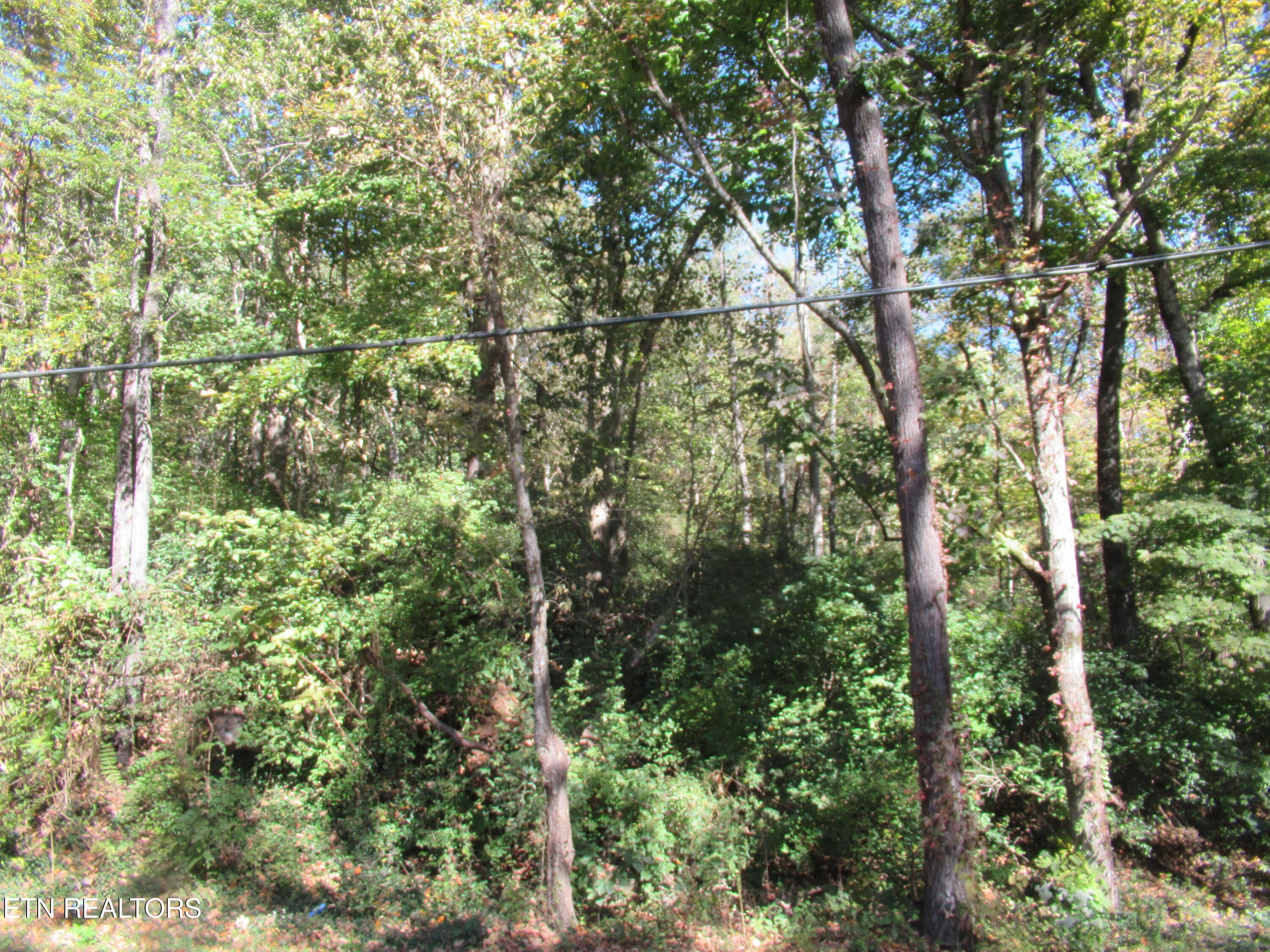 0 Riverside Drive Knoxville, TN 37914 - Photo 5 of 7 IMG_4062