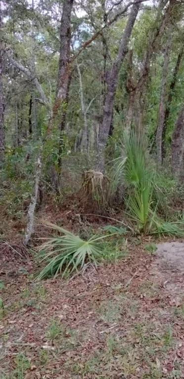 0 Macy Road, Unit O6025881 Weeki Wachee, FL 34614 - Photo 1 of 1 Gallery Image 1