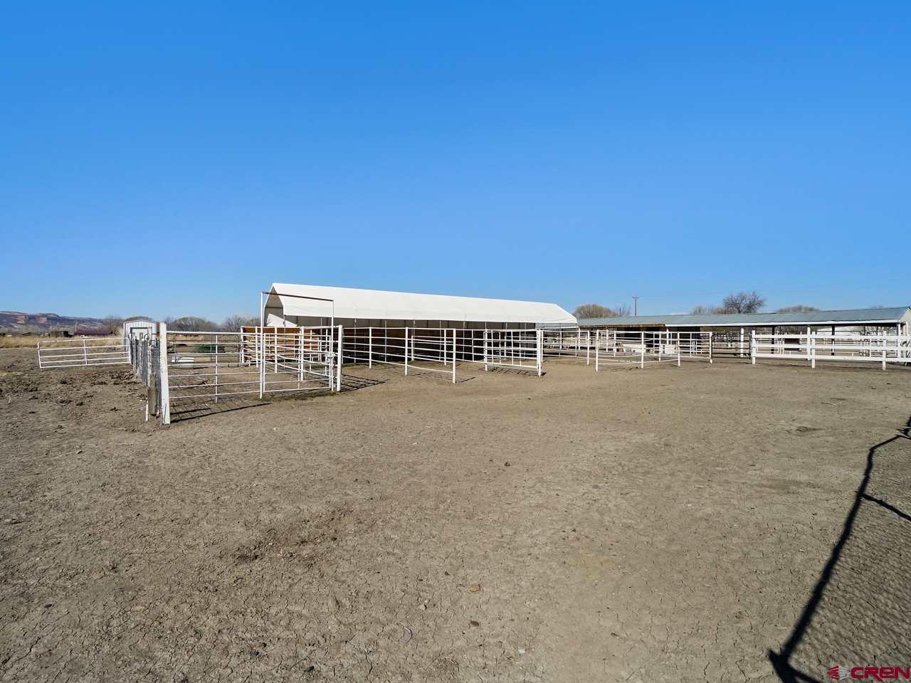 895 21 Road Fruita, CO 81521 - Photo 4 of 33