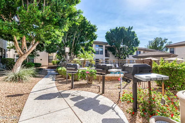 a view of a patio with table and chairs potted plants and a large tree