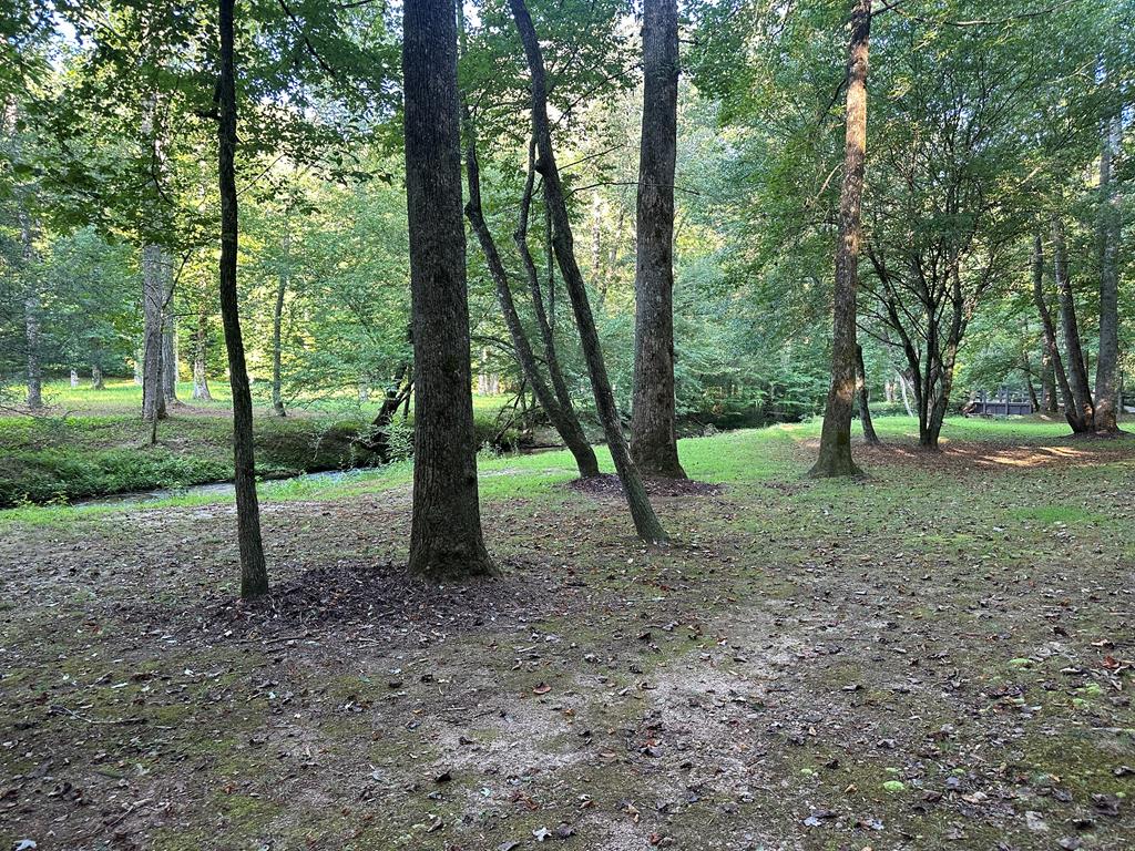 27 R Tanager Trail Ellijay, GA 30536 - Photo 58 of 60 Gallery Image 58