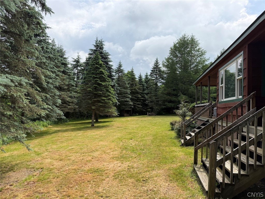 3773 Haskell Vly Vw Road Clarksville, NY 14727 - Photo 43 of 50