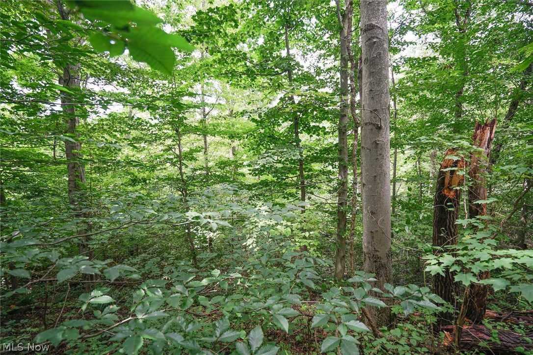 Dyes Ridge Road New Matamoras, OH 45767 - Photo 16 of 19 Gallery Image 16