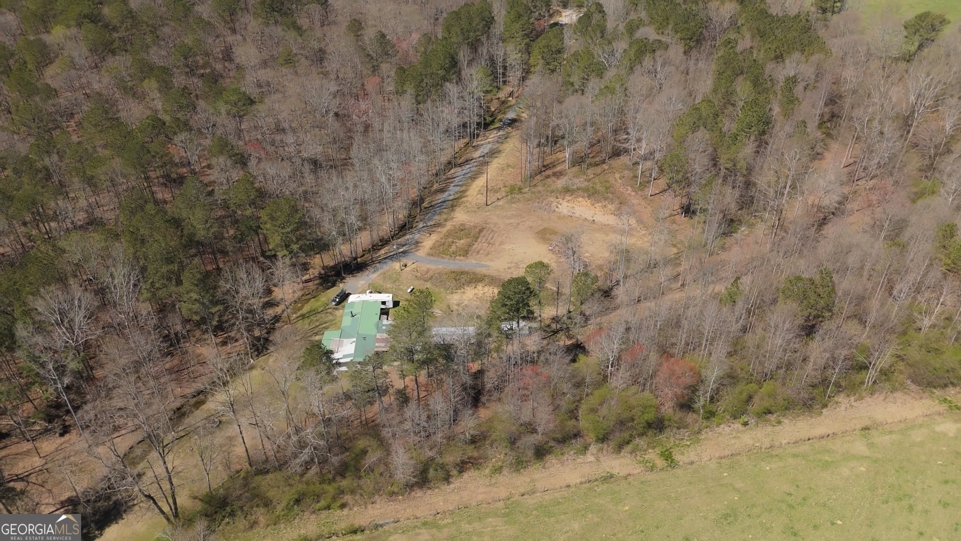 727 County Road 677 Ranburne, AL 36273 - Photo 21 of 24 a view of a forest with trees in the background