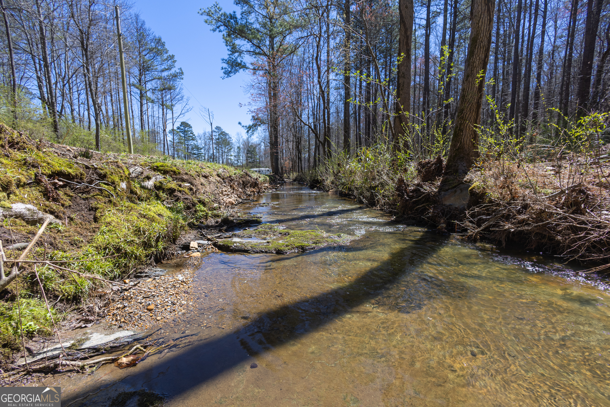 727 County Road 677 Ranburne, AL 36273 - Photo 24 of 24 a view of a yard with plants