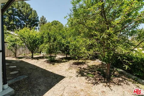 a view of a tree in the middle of a yard