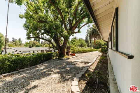 a view of a yard with plants and trees