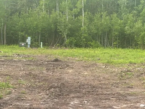 $149,500 | Tbd 500th Avenue, Salol, MN 56756