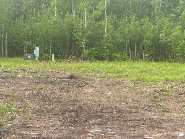 $149,500 | Tbd 500th Avenue, Salol, MN 56756