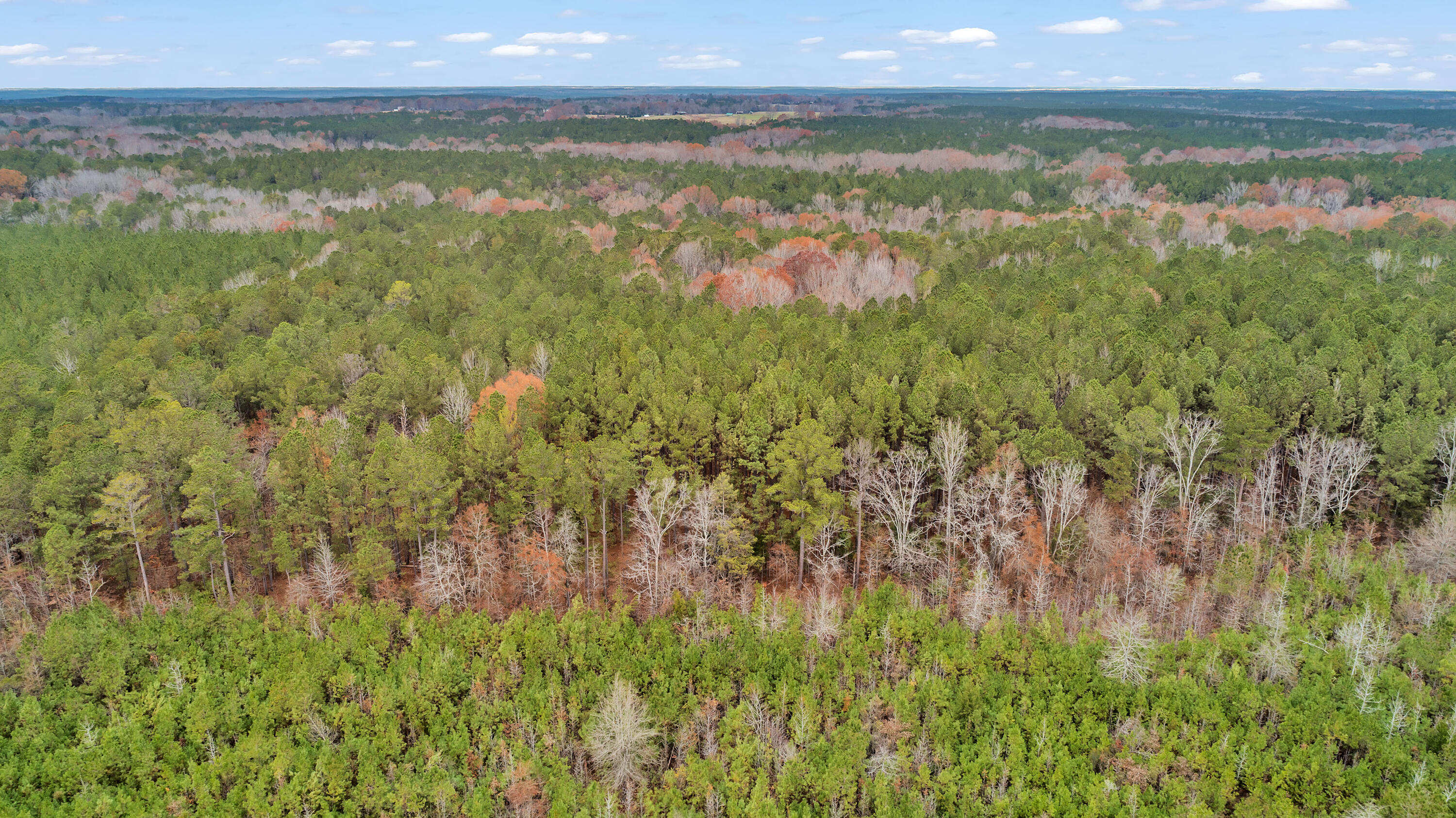Lot 8 Saggus Road Washington, GA 30673 - Photo 14 of 42 Saggus Rd land 121-007A, 200ft View, Dro