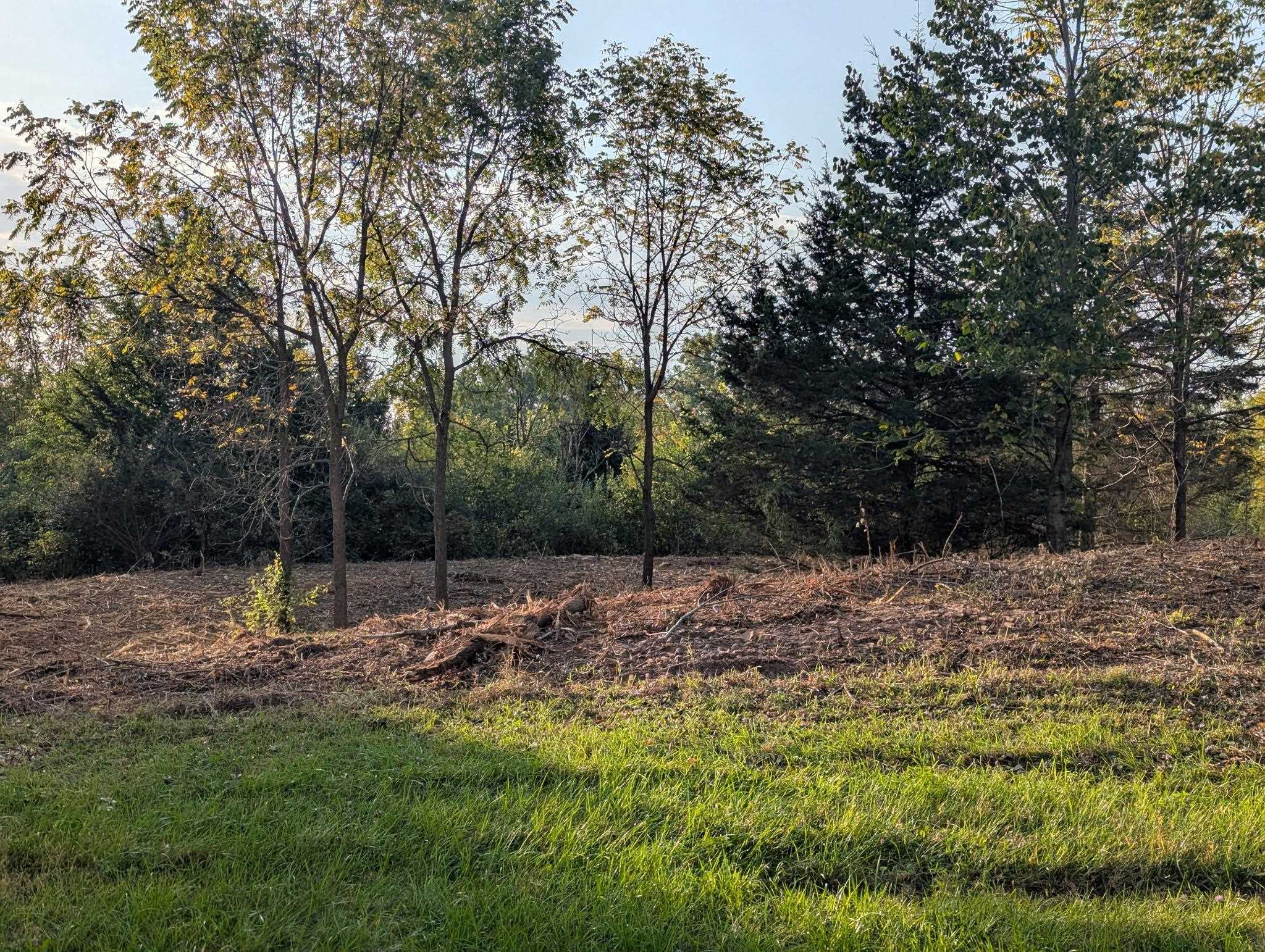 Incline Way Appleton, WI 54913 - Photo 5 of 11