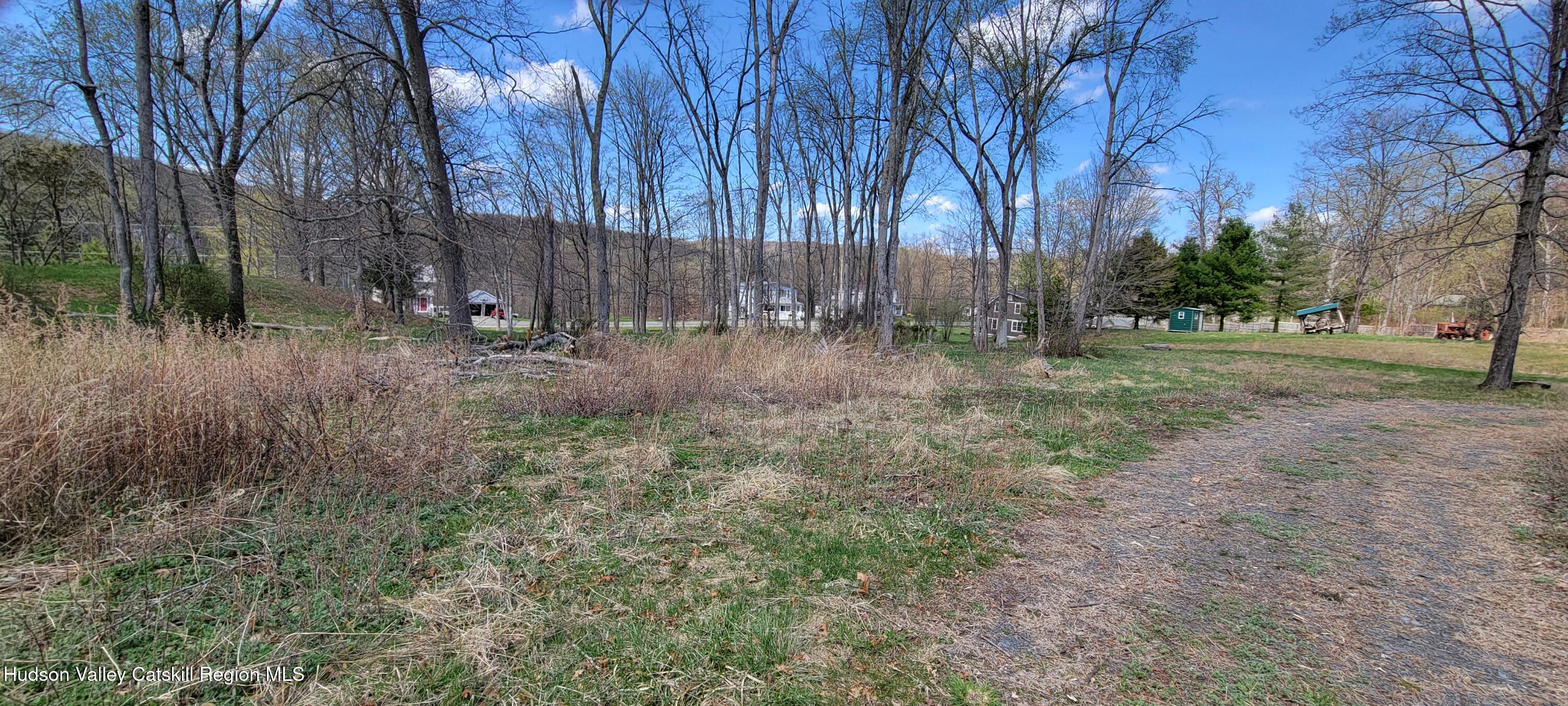 0 State Route Ancram, NY 12502 - Photo 6 of 8 a backyard of a house with lots of green space