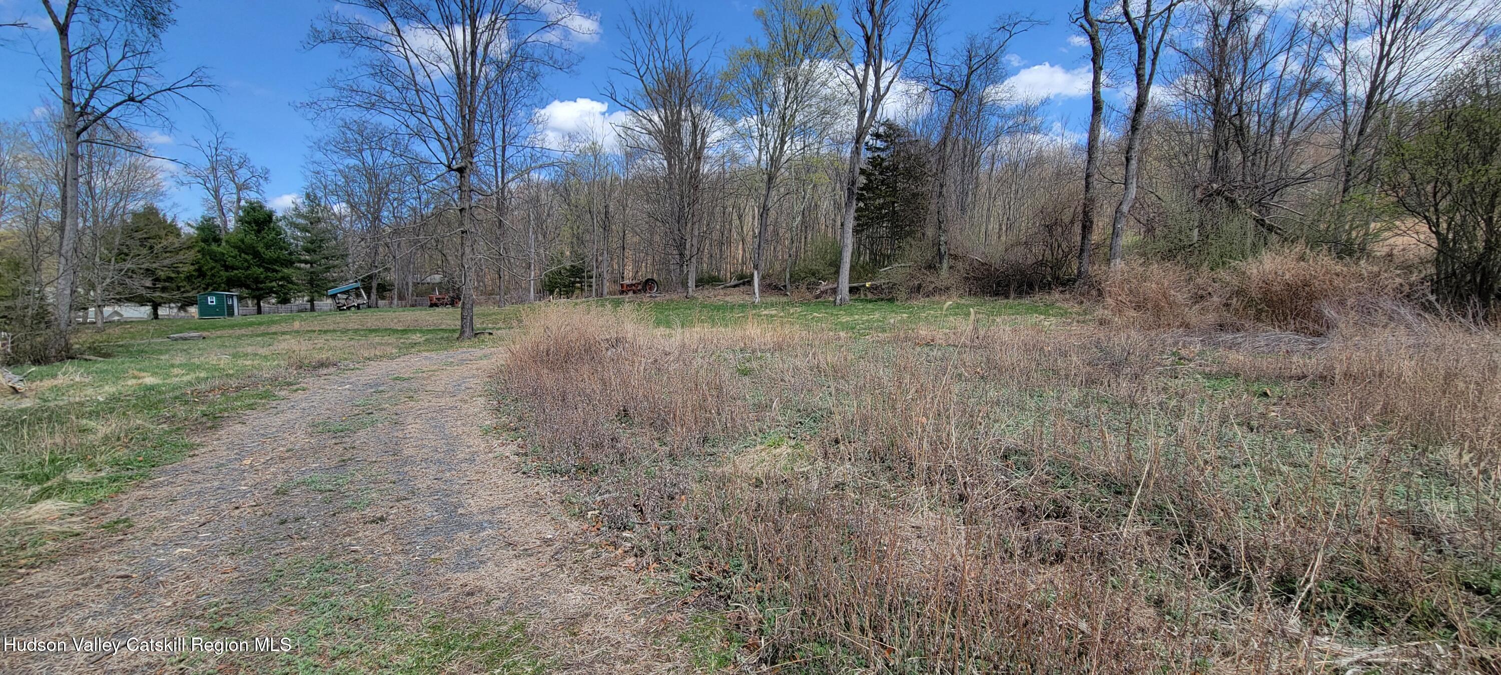 0 State Route Ancram, NY 12502 - Photo 7 of 8 a view of backyard with green space